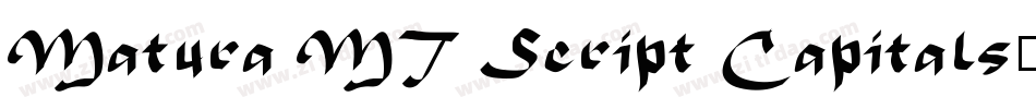 Matura MT Script Capitals字体转换